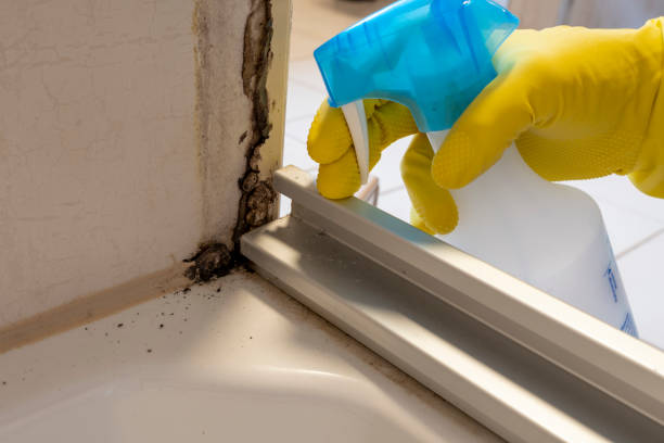 Best Professional Mold Removal  in Monticello, WI