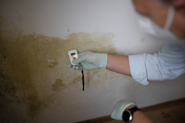 Best Crawl Space Mold Removal  in Monticello, WI