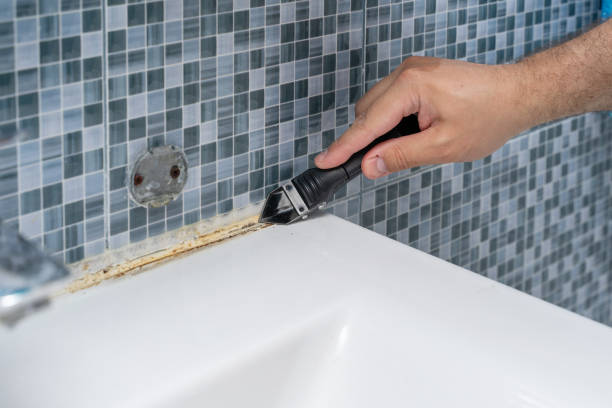 Best Residential Mold Removal  in Monticello, WI