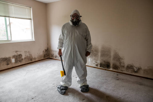 Best Office Mold Removal Services  in Monticello, WI